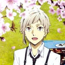 sam - a-frog-in-a-bog